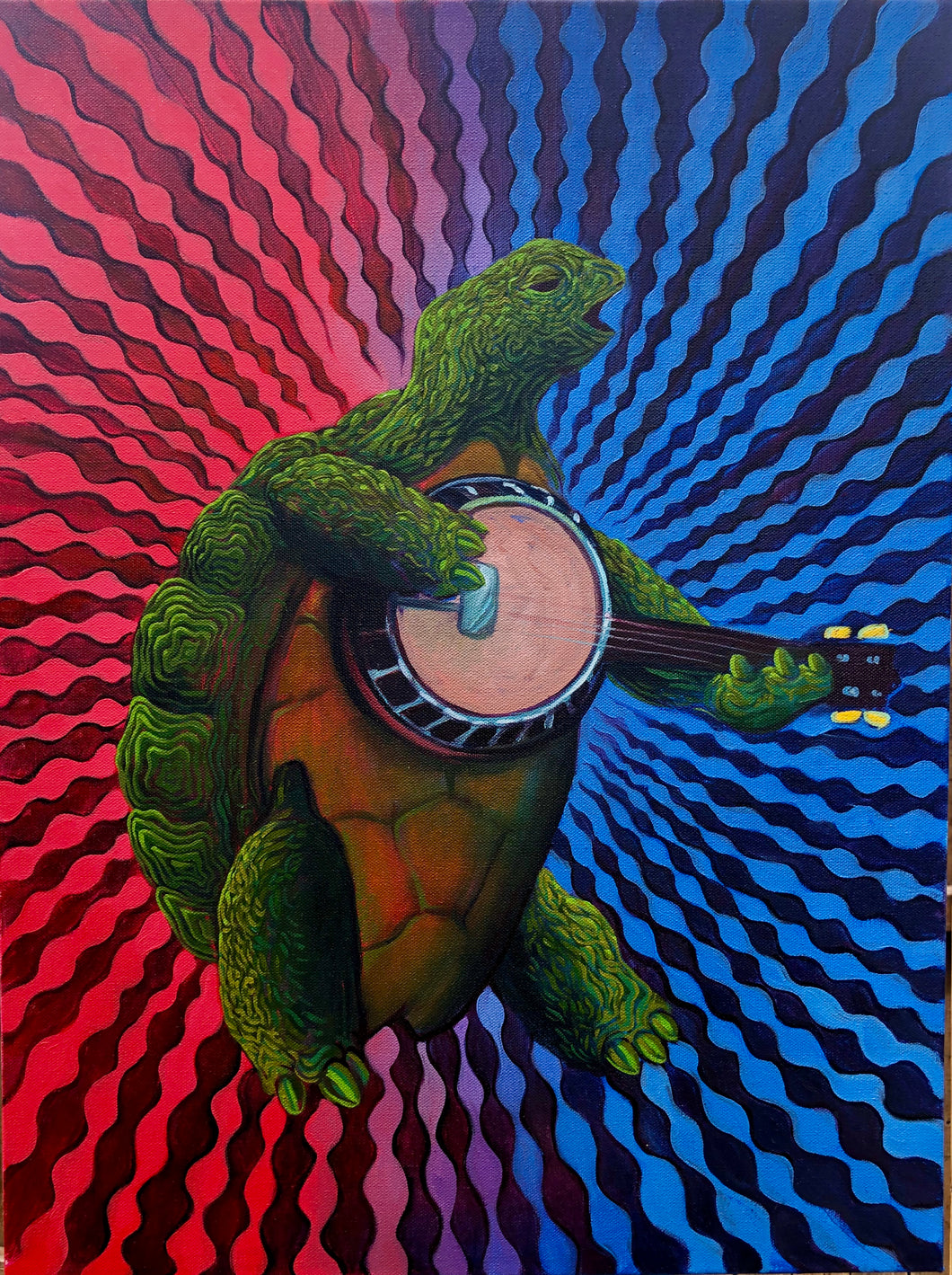 Terrapin Turtle - Canvas Print
