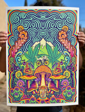 Load image into Gallery viewer, &#39;Psychedelia&#39; 18x24 LIMITED EDITION PRINT