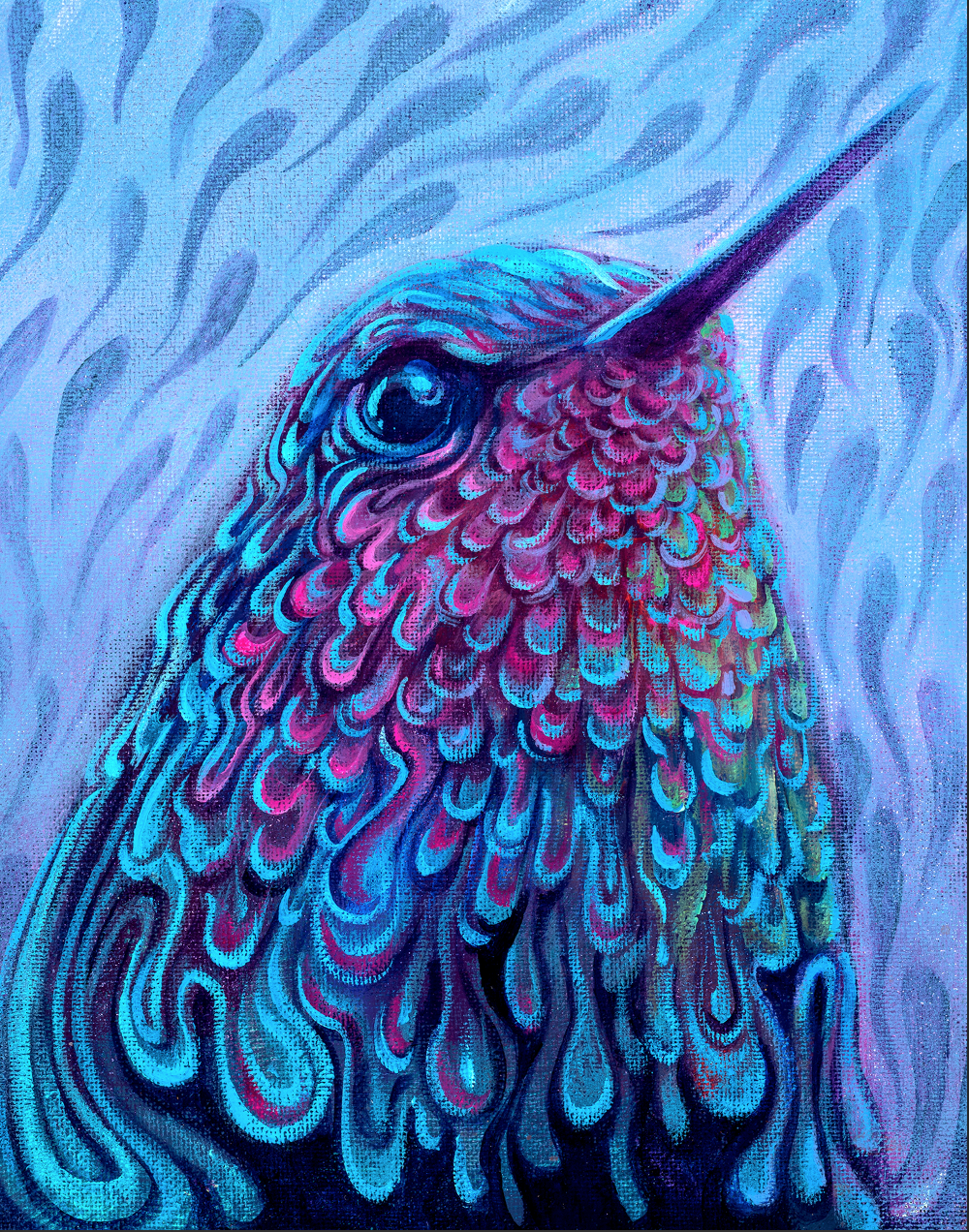 Hummingbird - Canvas Print